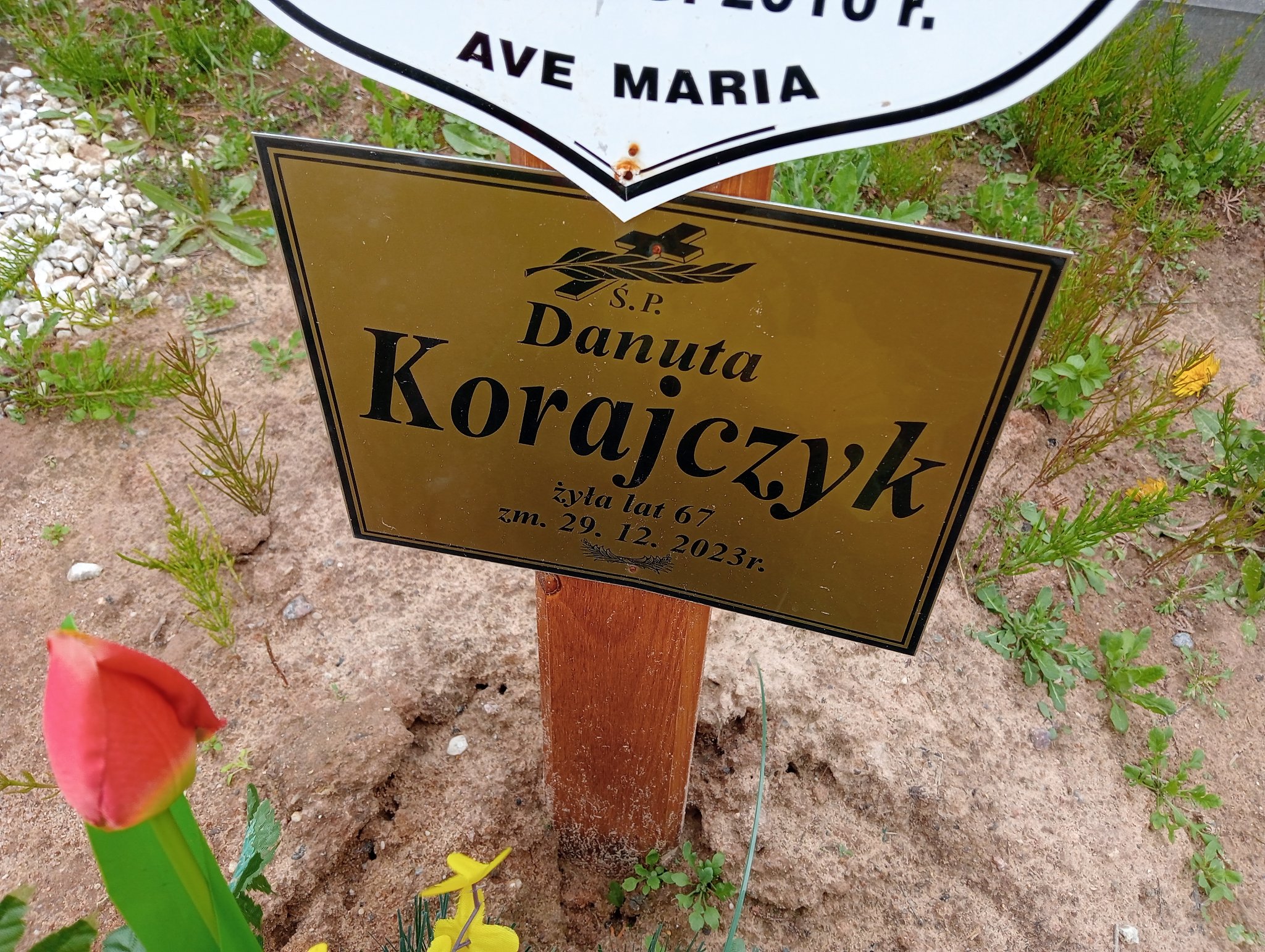 Zdjęcie grobu