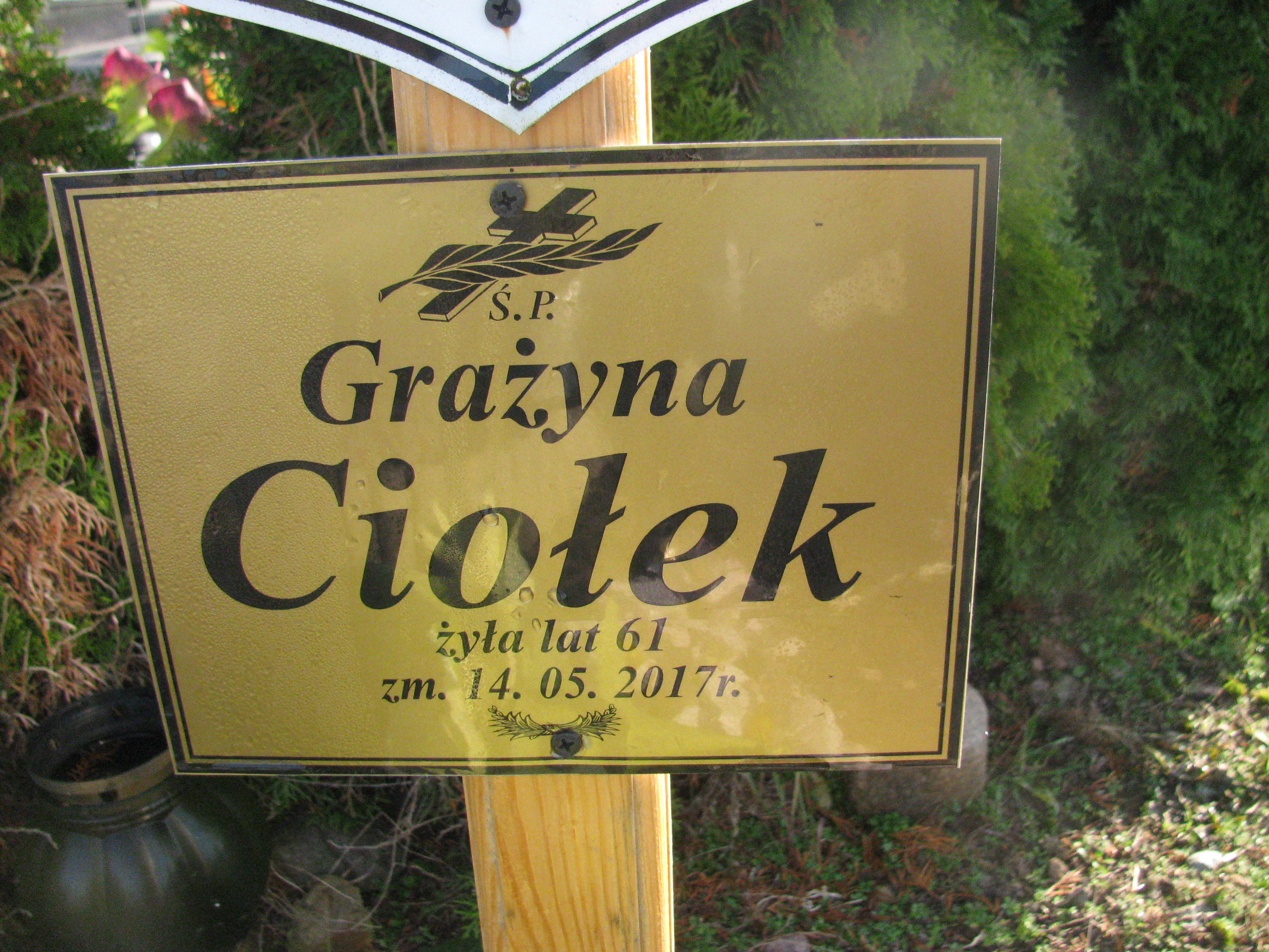 Zdjęcie grobu