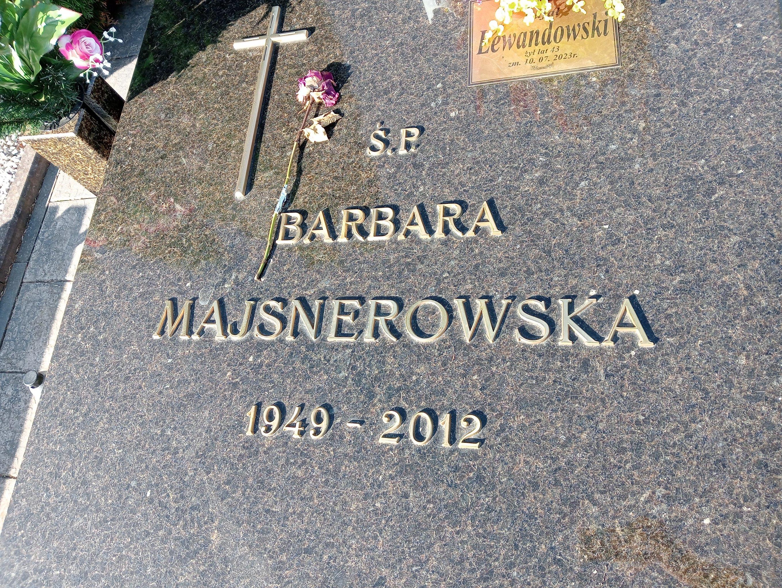 Rafał Lewandowski 1980 Kutno - Grobonet - Wyszukiwarka osób pochowanych